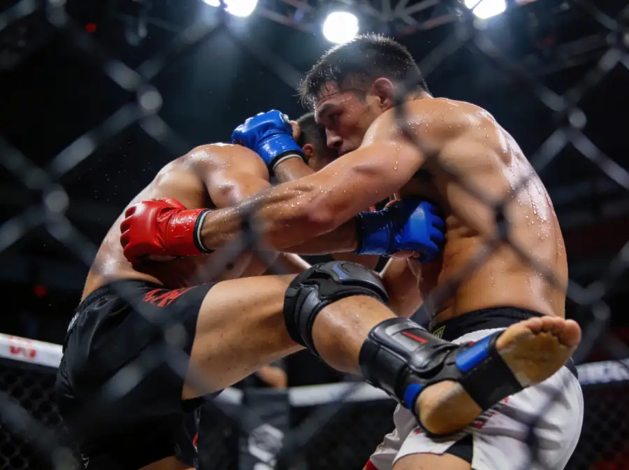 MMA Wettarten im Überblick: Siegwette, Rundenwette und Prop Bets bei UFC-Kämpfen